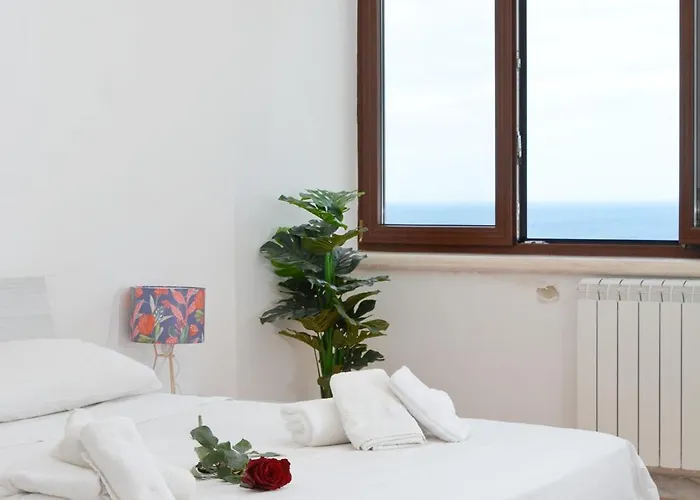 Tropical Paradise X Ap *