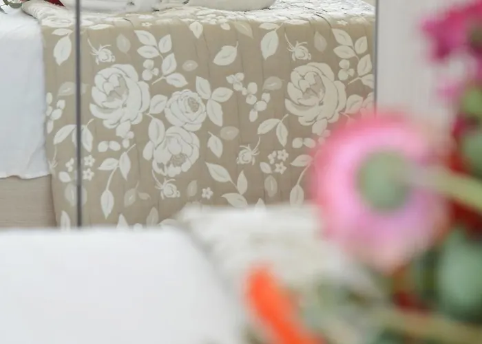 Tropical Paradise X Ap Gallipoli