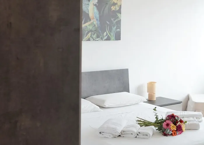 Tropical Paradise X Ap Gallipoli