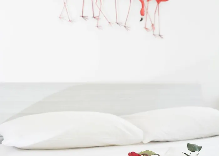 Tropical Paradise X Ap Gallipoli