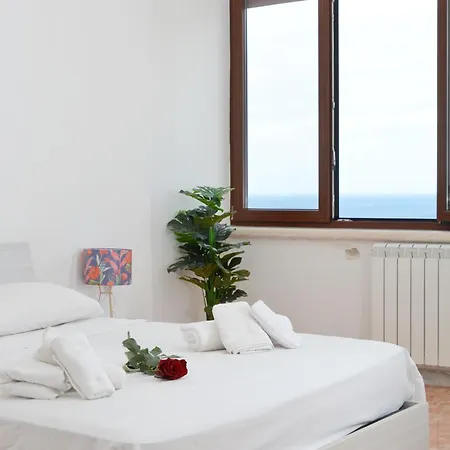 Tropical Paradise X Ap *